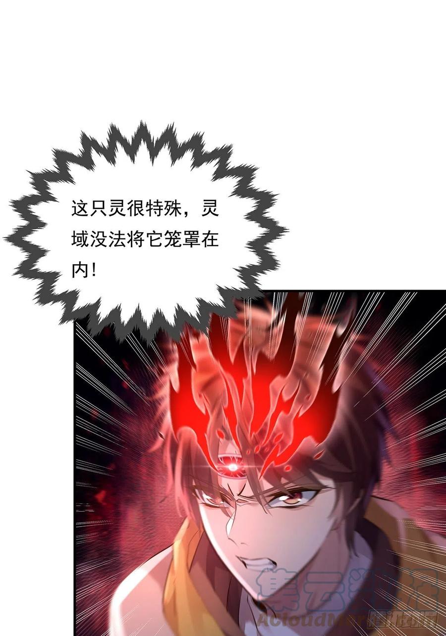 49.jpg
