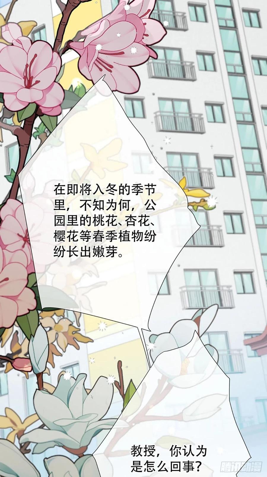 神明的眷顾 - 第1话：奇怪的转学生 - 第50张图