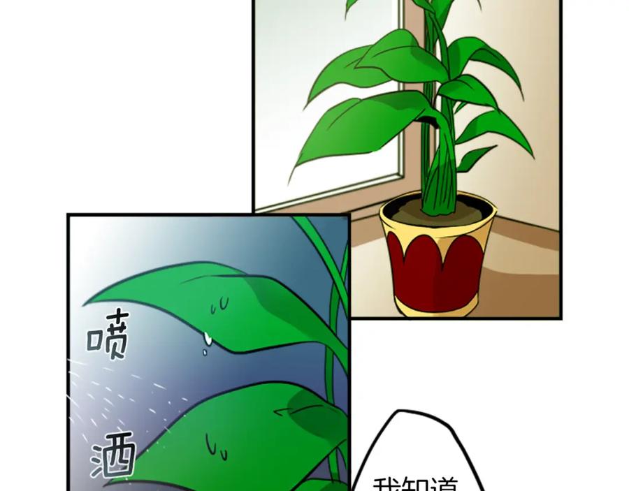 《神秘商店》第29话 咖啡妖精们 第57页