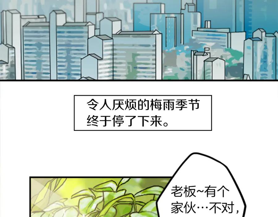 《神秘商店》第34话 金主的投资！ 第2页