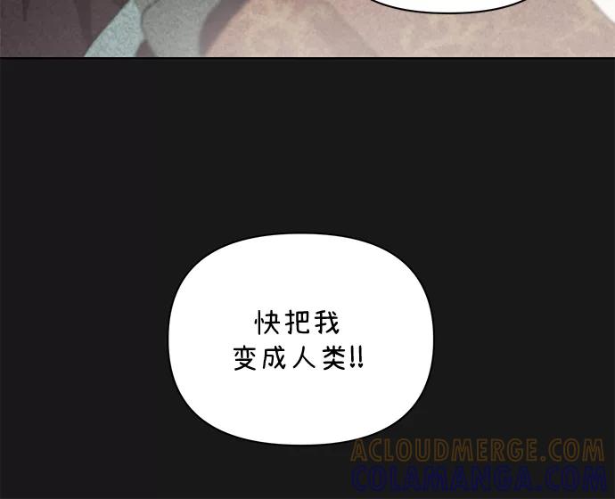 《狐尾奇缘》第43话 第13页