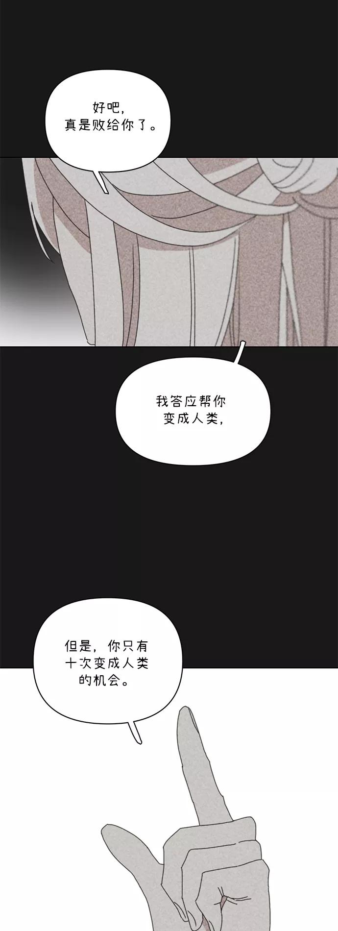 《狐尾奇缘》第43话 第8页