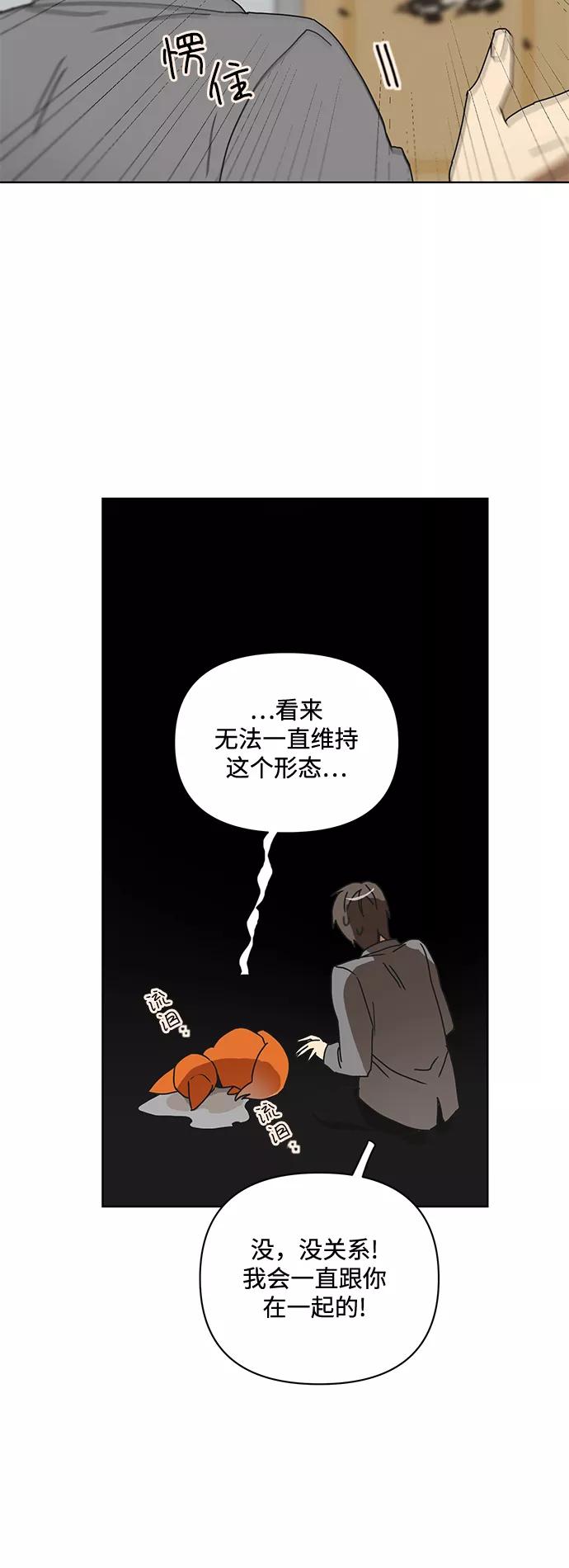 《狐尾奇缘》第53话 第12页