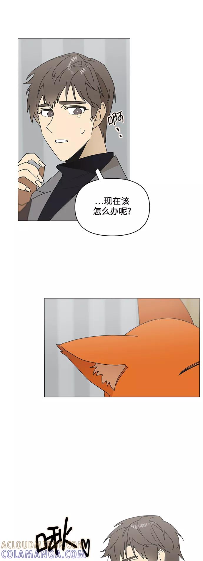《狐尾奇缘》第53话 第3页