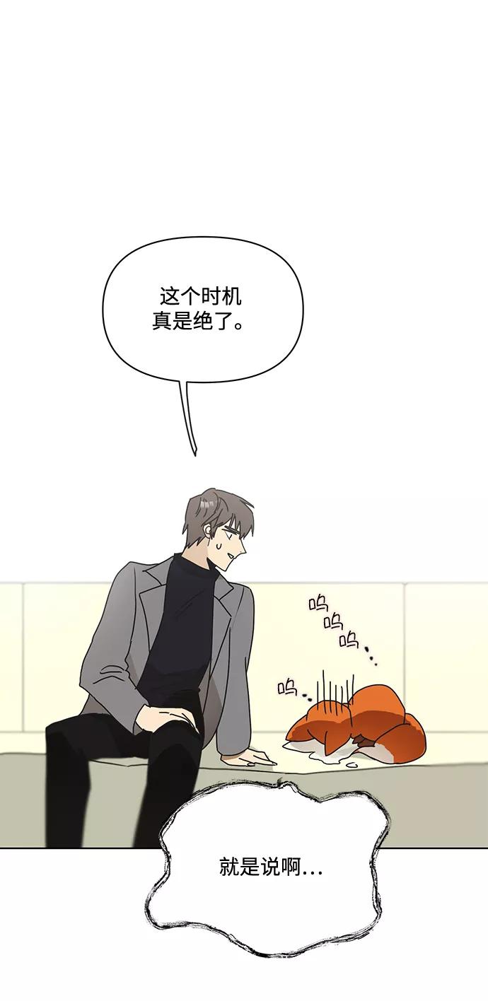 《狐尾奇缘》第53话 第30页