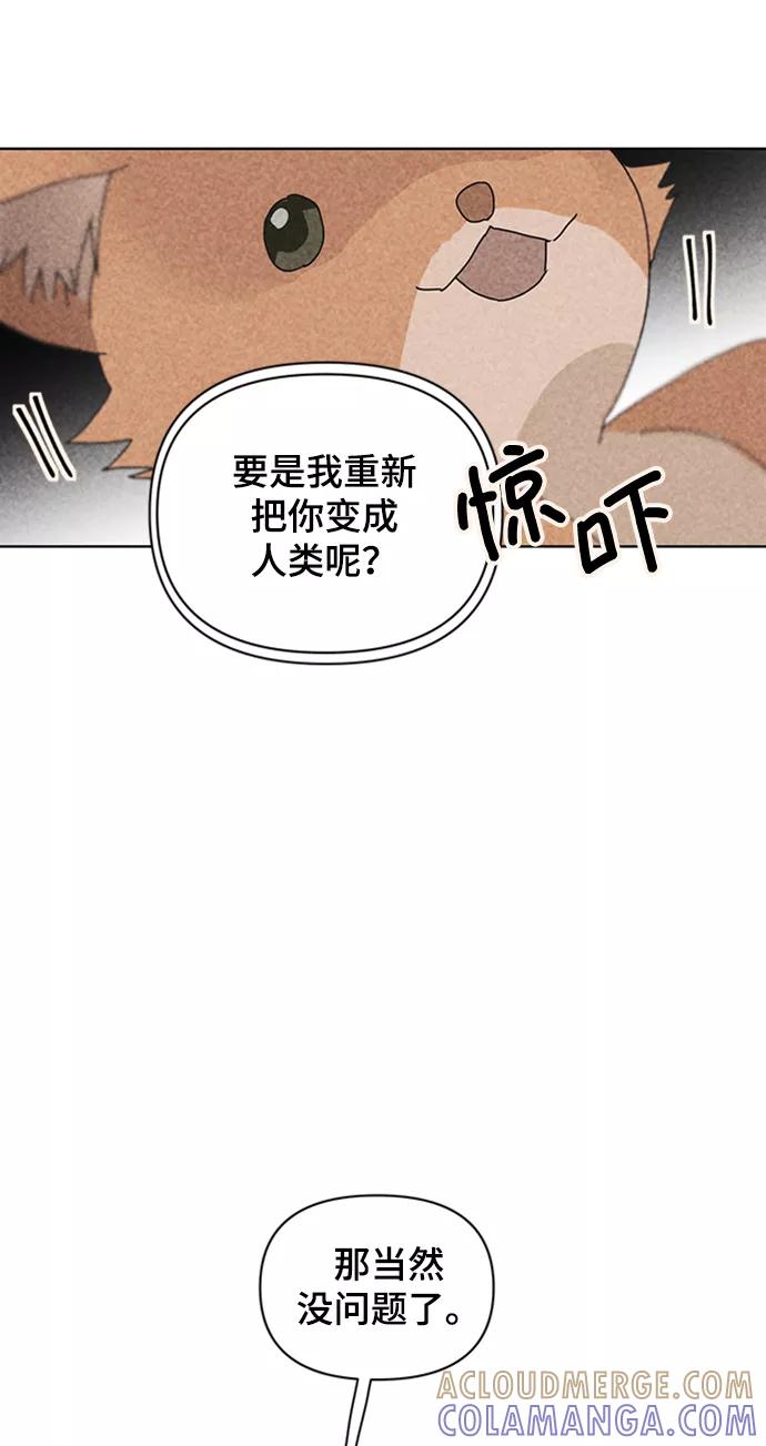 《狐尾奇缘》第54话 第13页