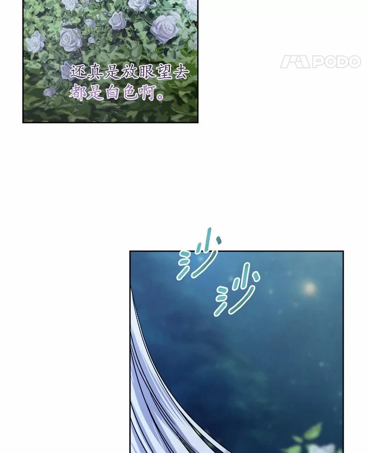 《吞噬太阳的花》33.回忆 第96页