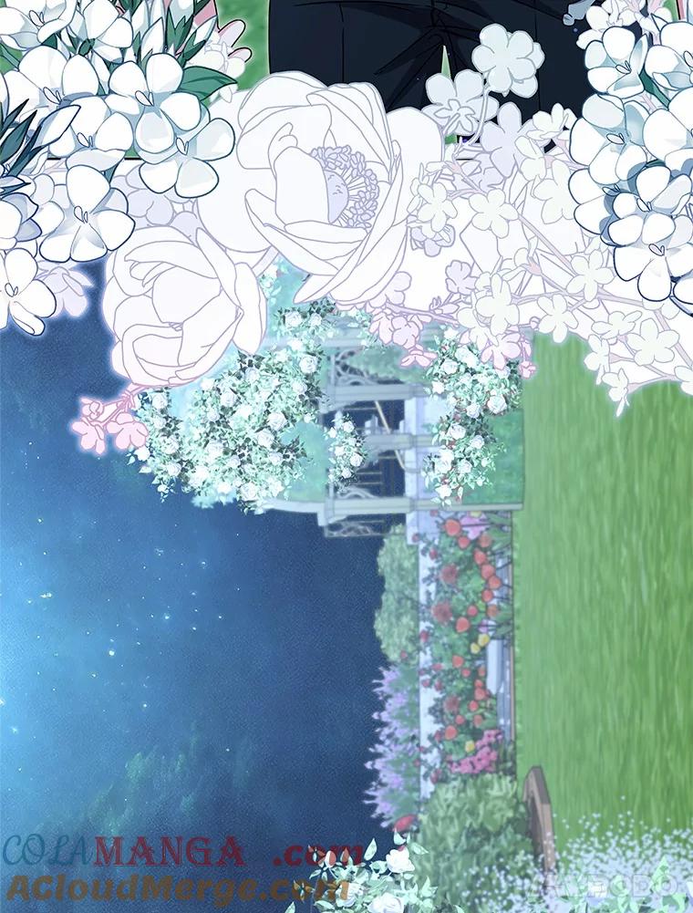 《吞噬太阳的花》34.他的告白 第5页