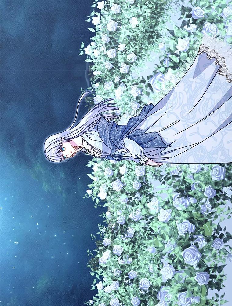《吞噬太阳的花》34.他的告白 第6页