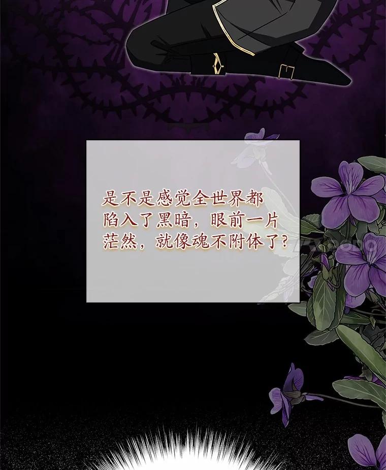 《吞噬太阳的花》36.承诺 第28页