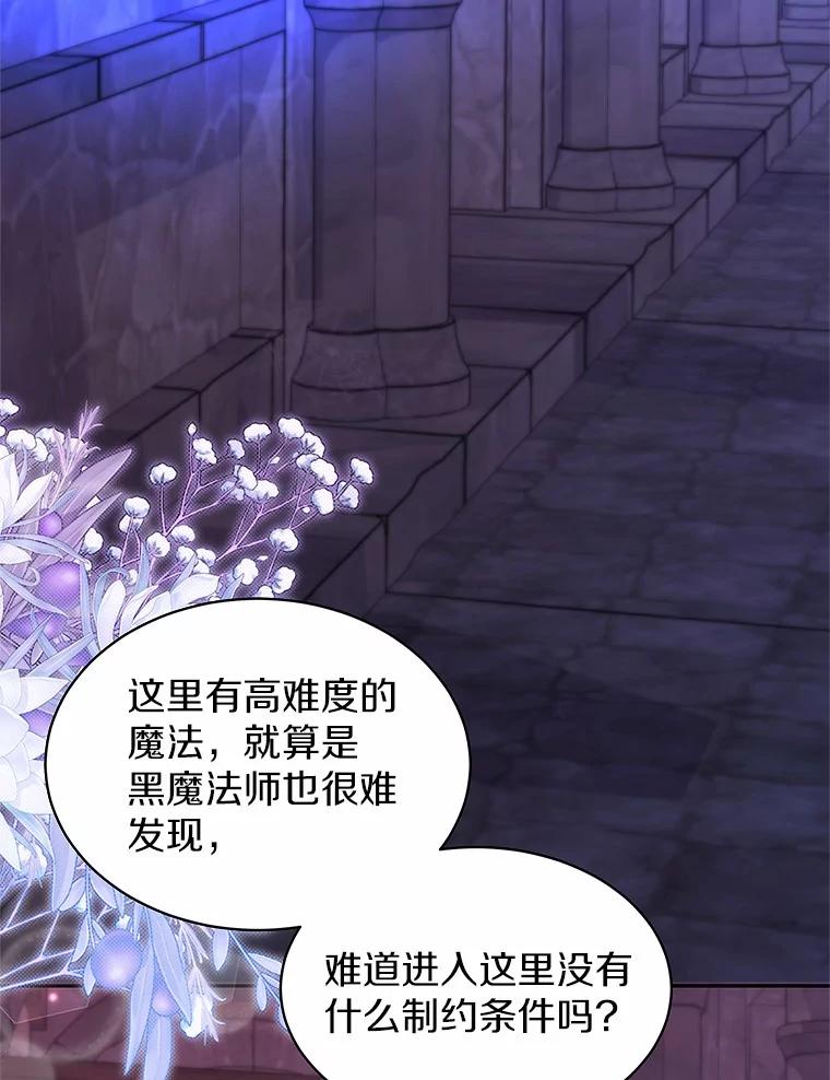 《吞噬太阳的花》37.皇宫暗道 第74页