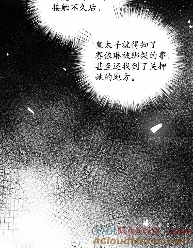 《吞噬太阳的花》38.营救行动 第17页
