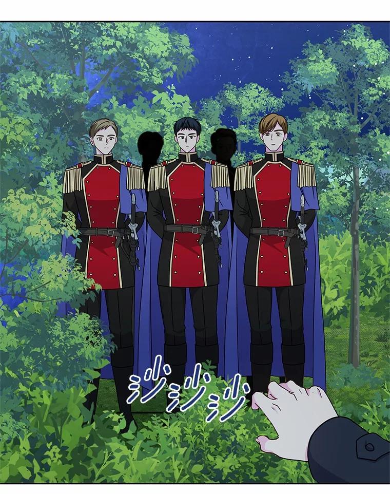 《吞噬太阳的花》38.营救行动 第66页