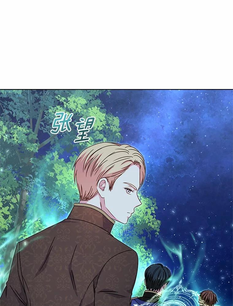 《吞噬太阳的花》38.营救行动 第94页