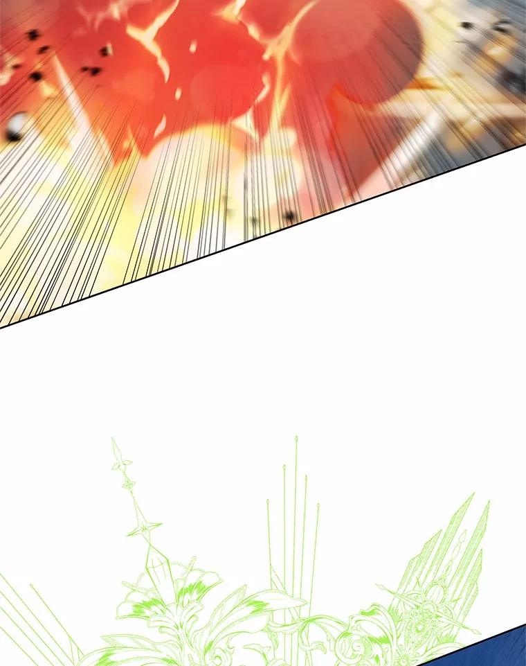 《吞噬太阳的花》39.魔法炸弹 第36页