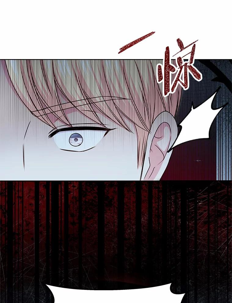 《吞噬太阳的花》39.魔法炸弹 第63页