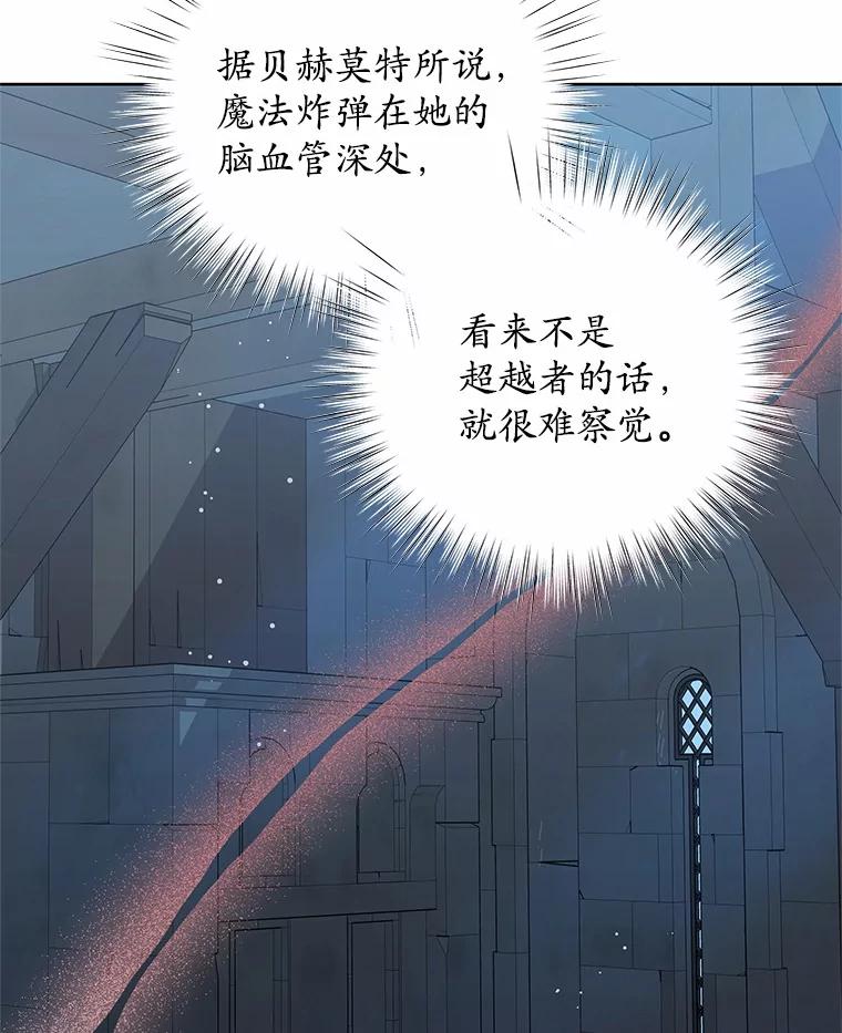 《吞噬太阳的花》39.魔法炸弹 第83页