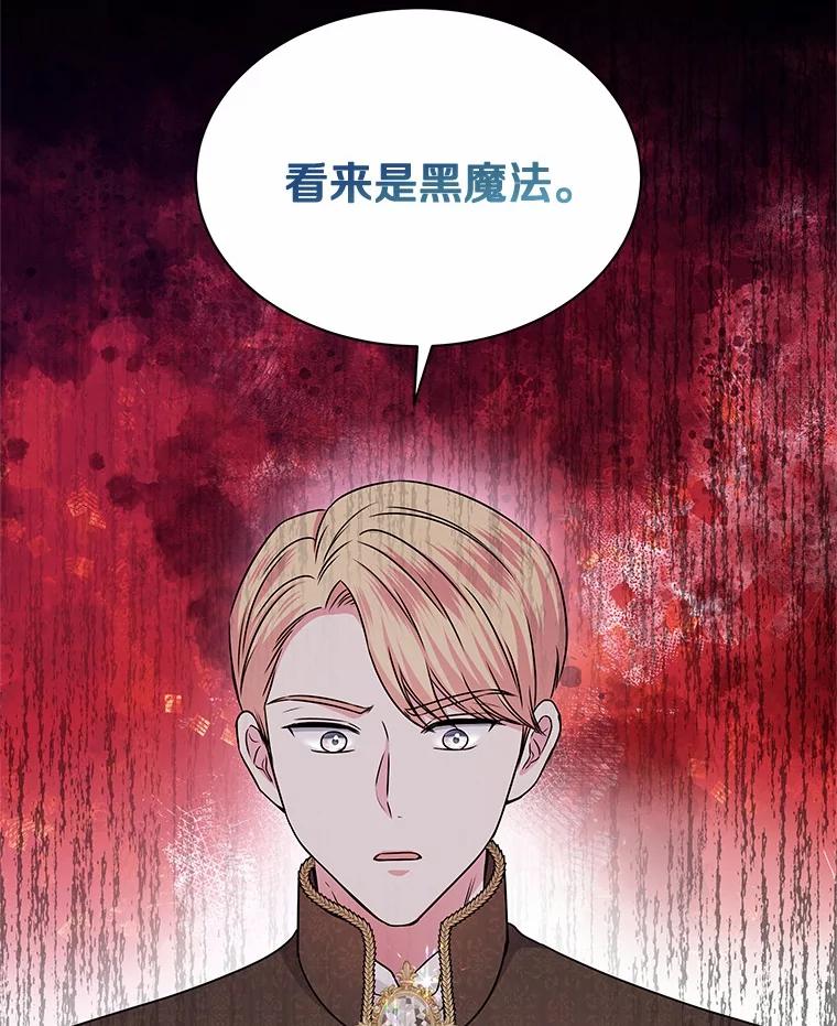 《吞噬太阳的花》39.魔法炸弹 第2页