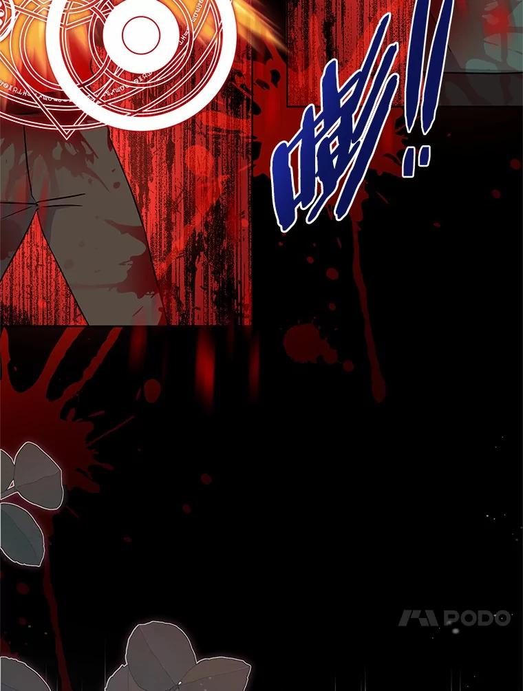 《吞噬太阳的花》39.魔法炸弹 第74页
