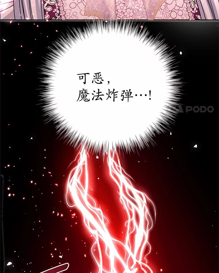 《吞噬太阳的花》39.魔法炸弹 第95页
