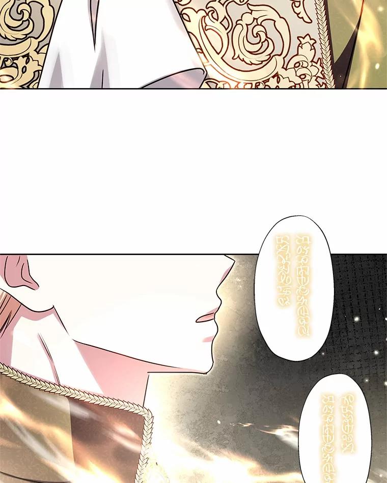 《吞噬太阳的花》40.成功营救 第58页