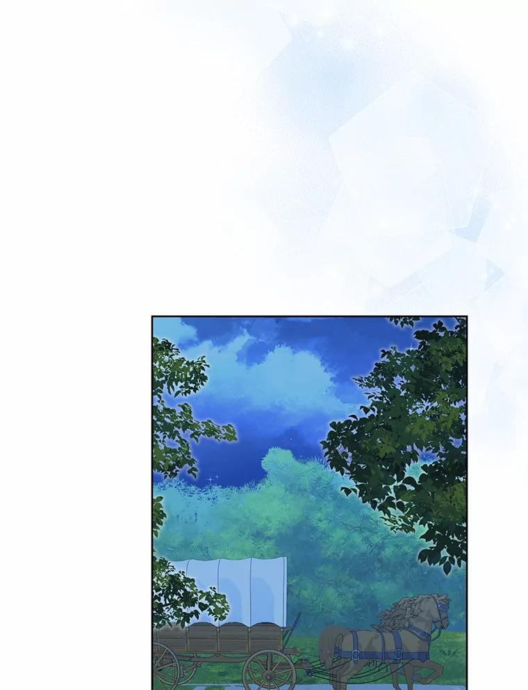 《吞噬太阳的花》40.成功营救 第95页