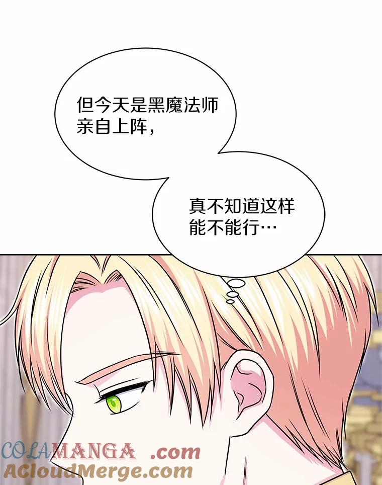《吞噬太阳的花》41.对战黑魔法师 第29页