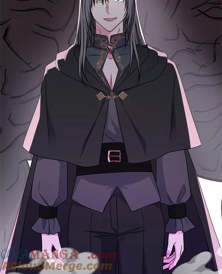 《吞噬太阳的花》41.对战黑魔法师 第61页