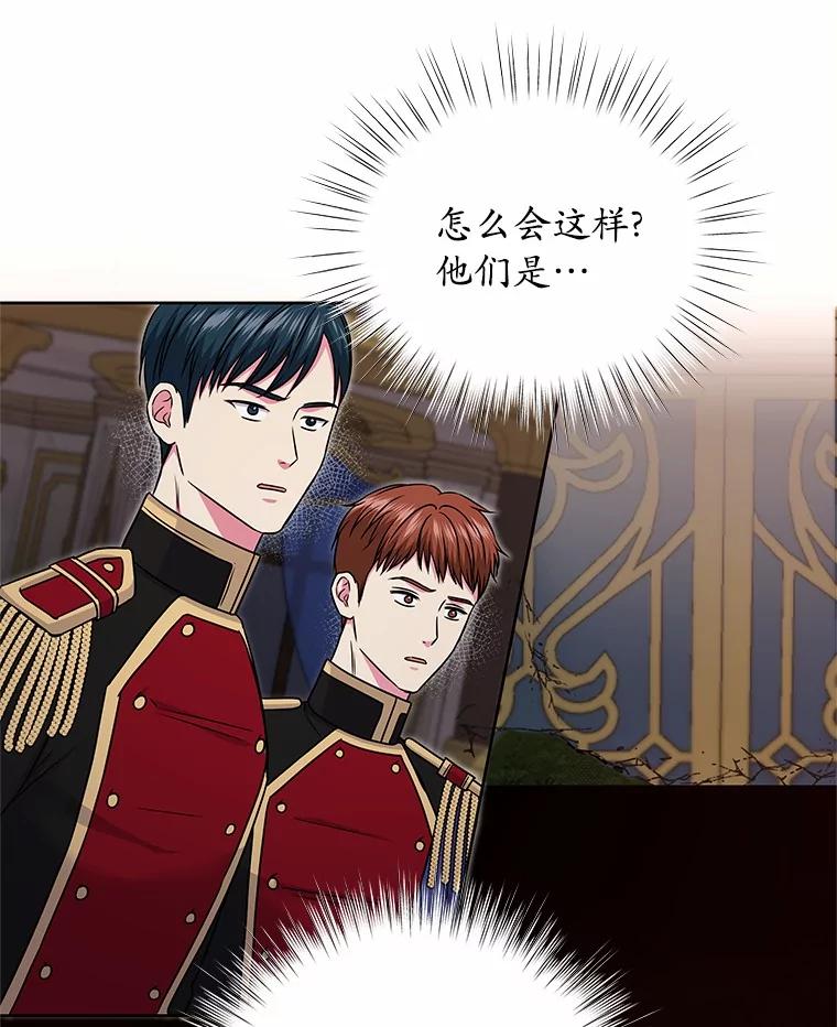 《吞噬太阳的花》41.对战黑魔法师 第68页