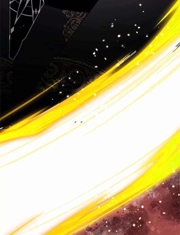 《吞噬太阳的花》41.对战黑魔法师 第27页