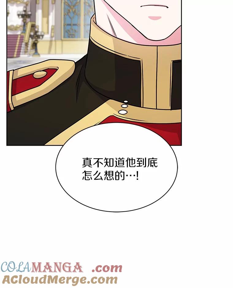 《吞噬太阳的花》41.对战黑魔法师 第17页