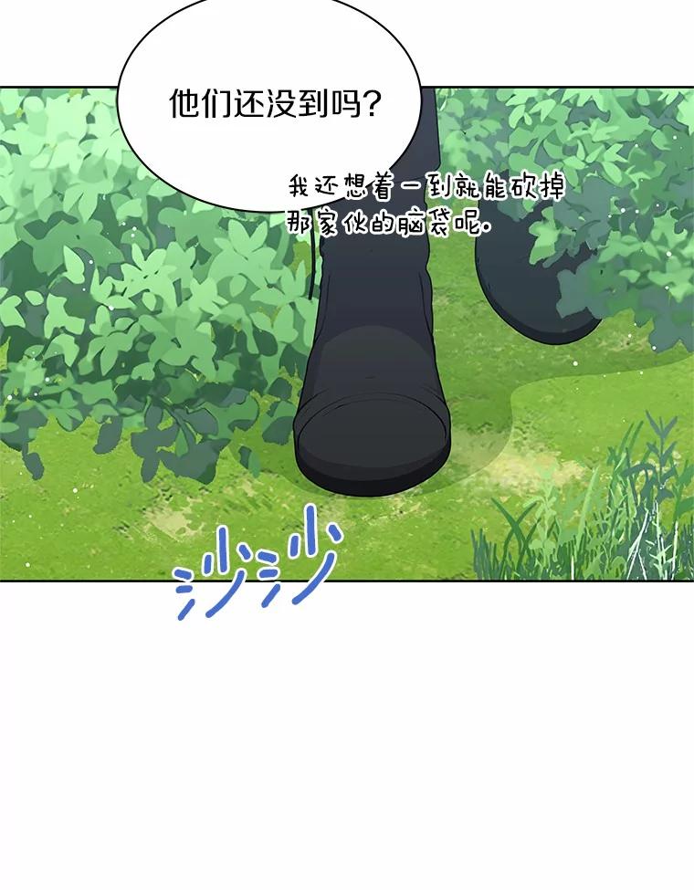 《吞噬太阳的花》45.儿时记忆 第50页
