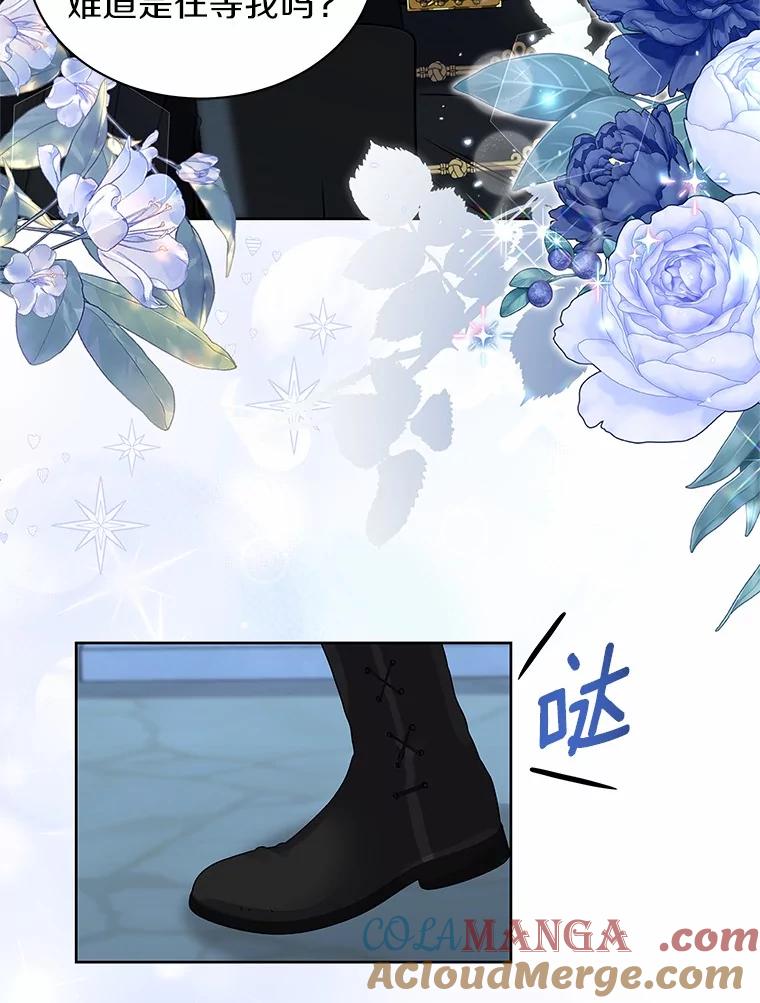 《吞噬太阳的花》46.礼服 第61页