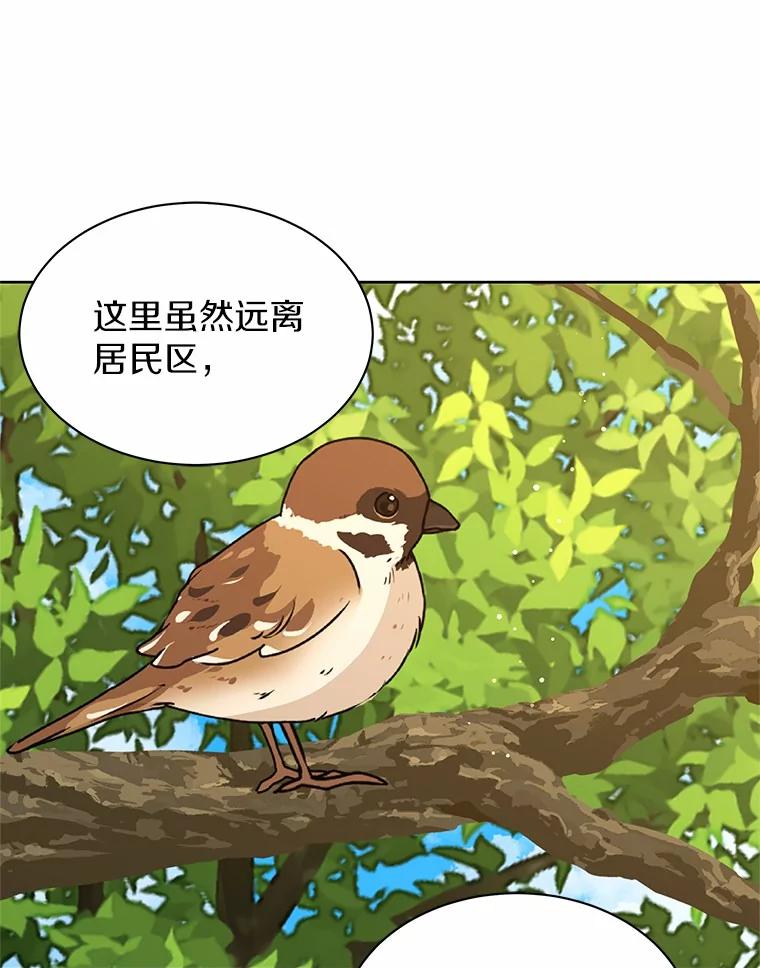 《吞噬太阳的花》50.不忠之人 第90页