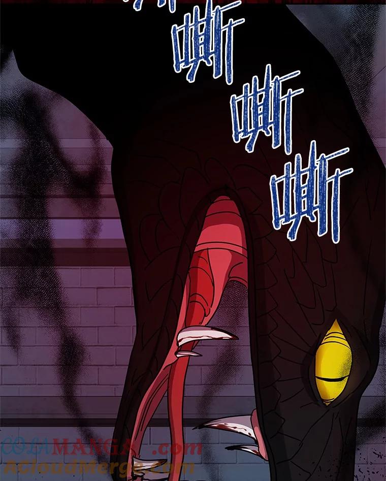《吞噬太阳的花》54.前世魔力 第41页