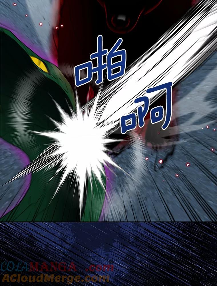 《吞噬太阳的花》54.前世魔力 第97页