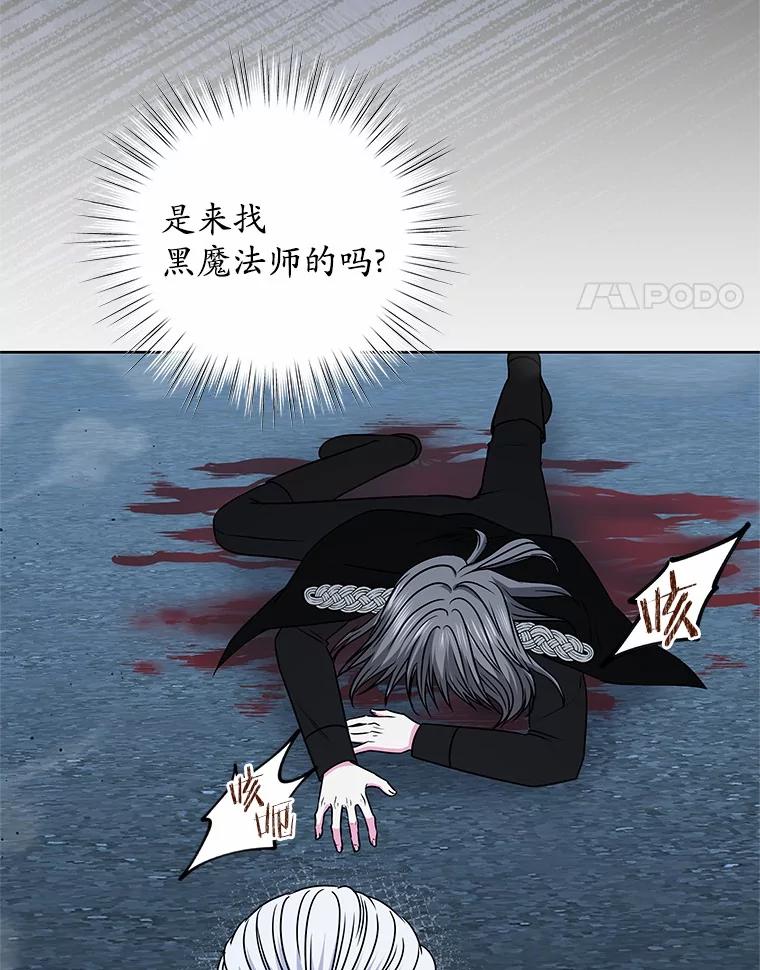 《吞噬太阳的花》55.黑魔法师之死 第92页