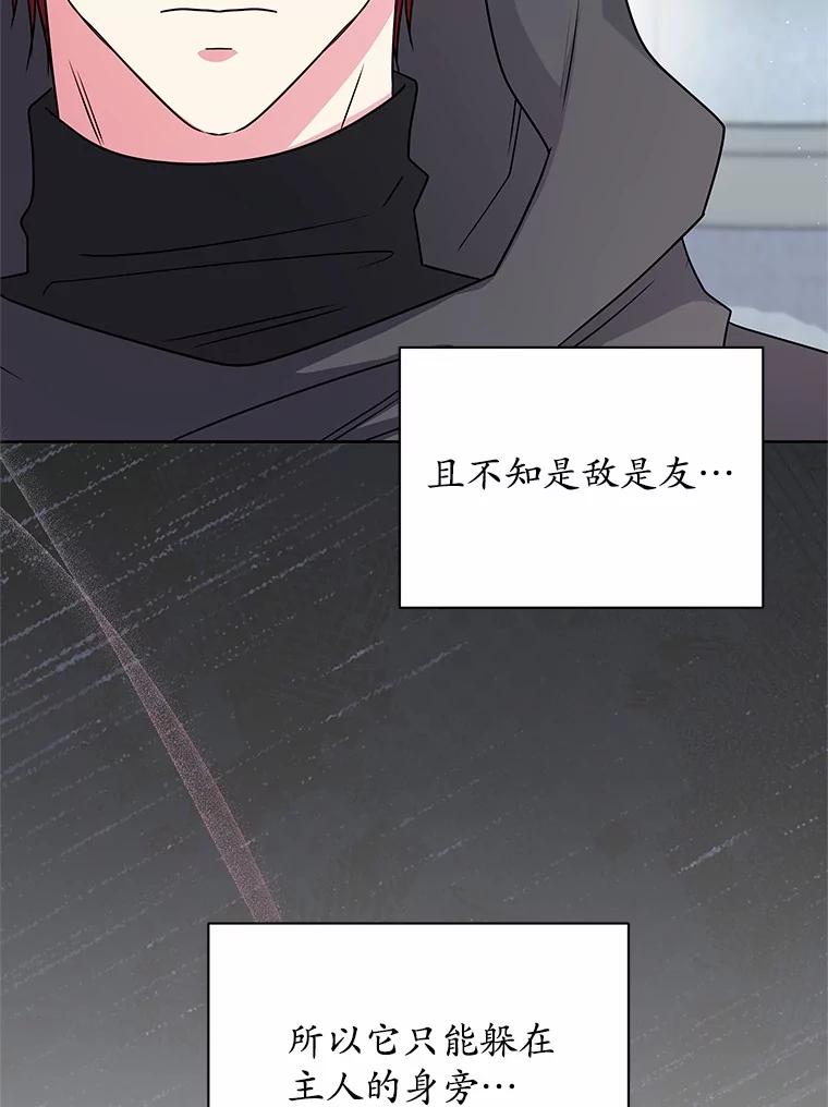 《吞噬太阳的花》56.旧识 第54页