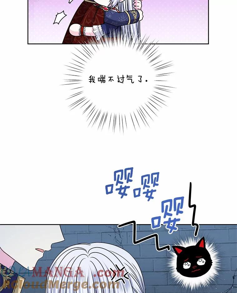 《吞噬太阳的花》56.旧识 第29页