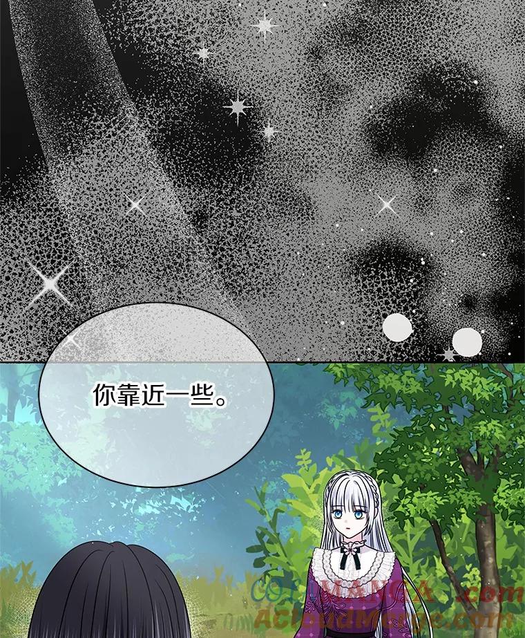 《吞噬太阳的花》57.谎言 第17页