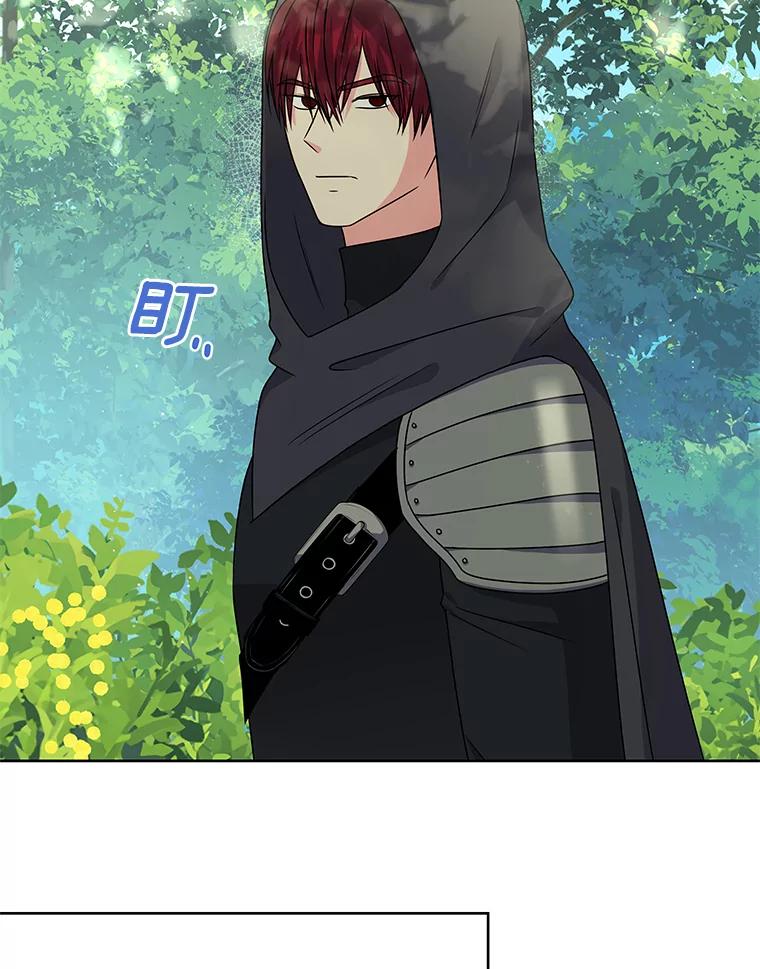 《吞噬太阳的花》58.知我真名的人 第20页