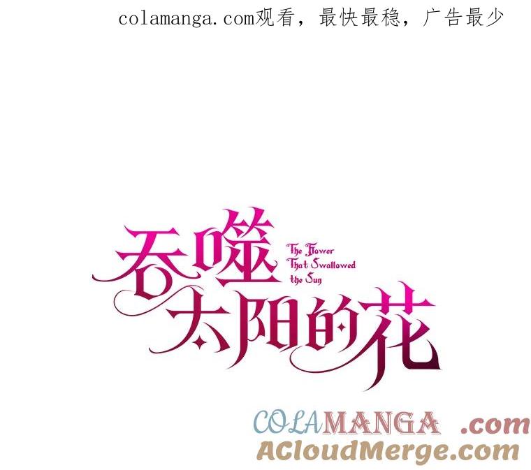 《吞噬太阳的花》59.身份曝光 第1页