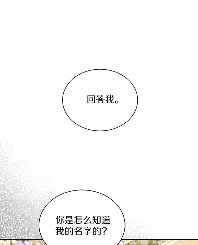 《吞噬太阳的花》59.身份曝光 第3页