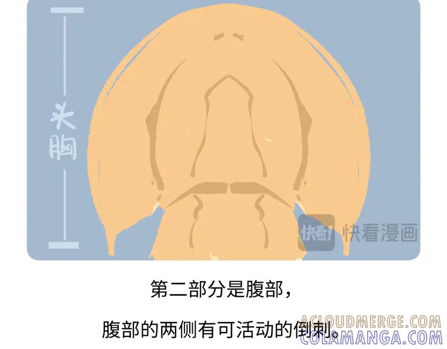 《胖达x胖达》第278话 第19页