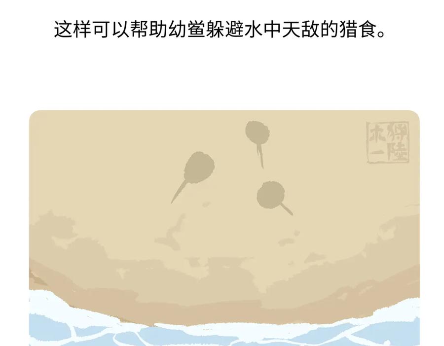 《胖达x胖达》第278话 第28页