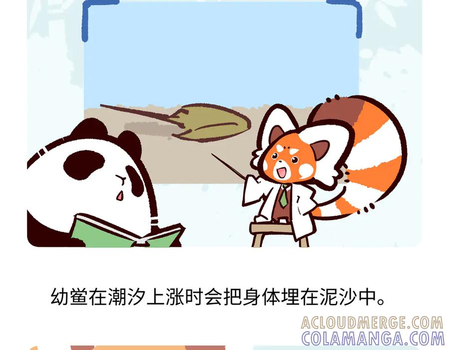 《胖达x胖达》第278话 第25页