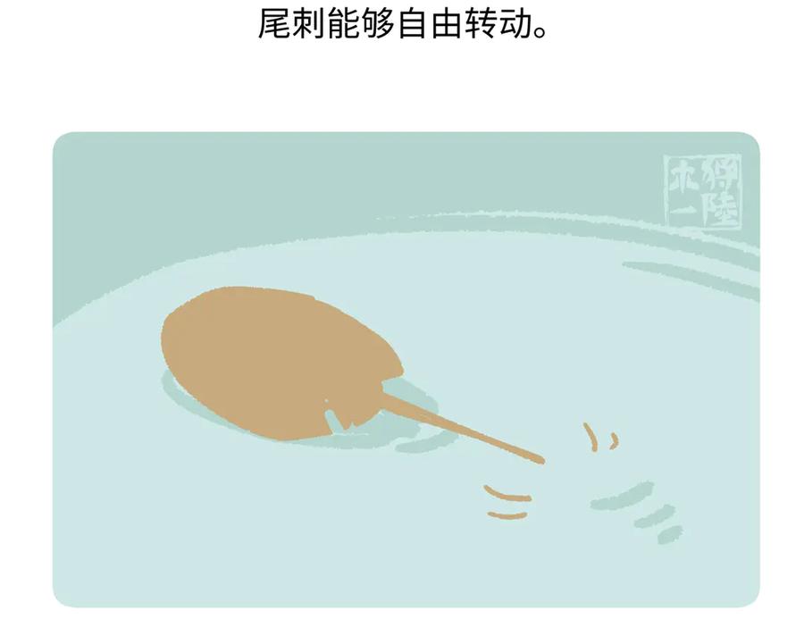 《胖达x胖达》第278话 第22页