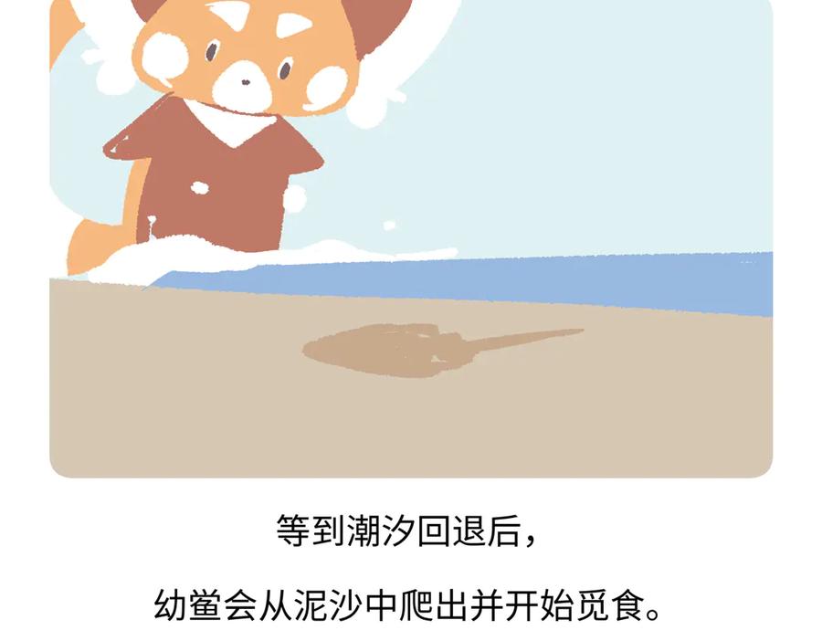 《胖达x胖达》第278话 第26页