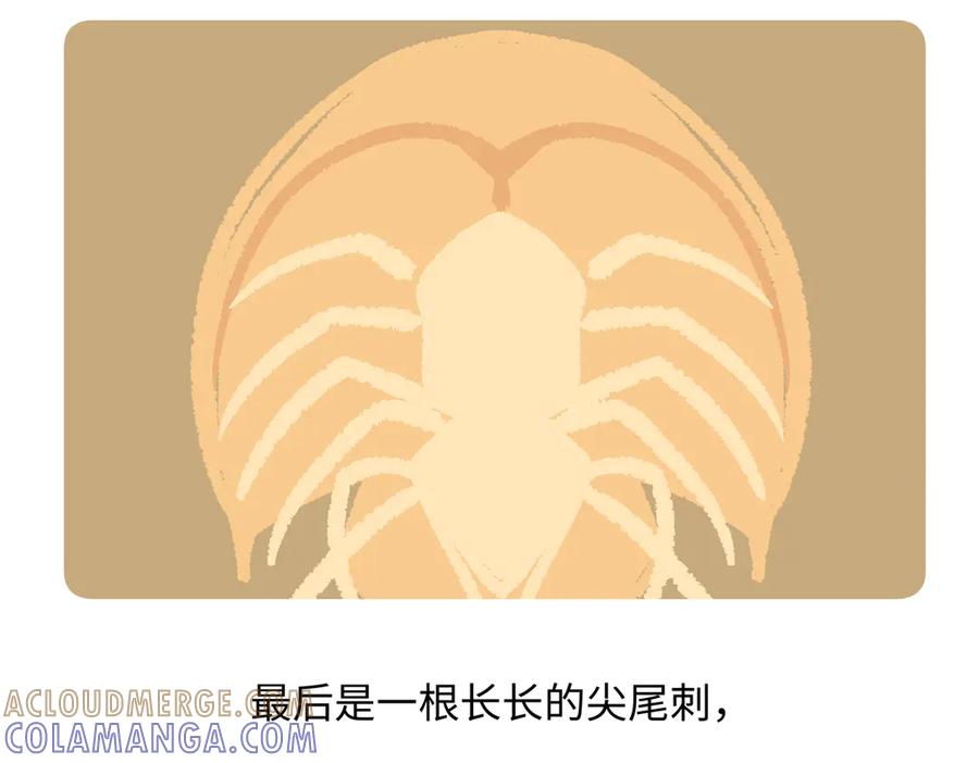 《胖达x胖达》第278话 第21页