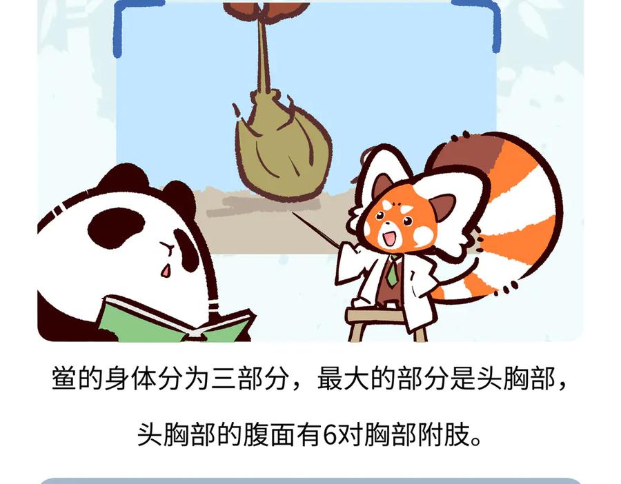 《胖达x胖达》第278话 第18页